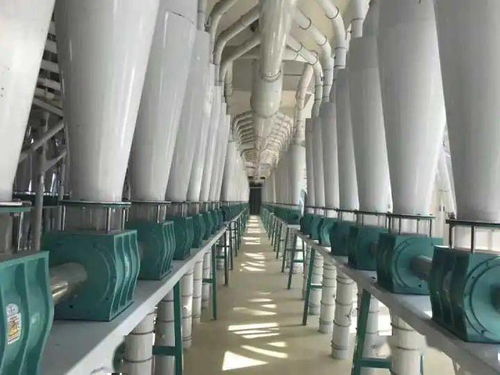 河套面粉蒙廚、蒙雪花、巴蒙久星系列全國招商暨軟件開發合作伙伴招募