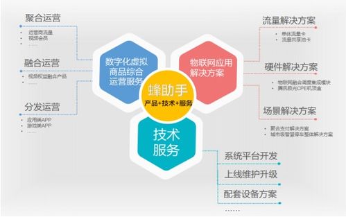 蜂助手成功過會，即將登陸深交所創業板，專注網絡技術服務創新